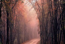 开云体育下载-摩洛哥瓦赫达球迷现场助威，球队斗志昂扬