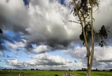 开云体育APP下载-鹿岛鹿角赛前发布会：全队信心满满迎战卡尔蒂斯