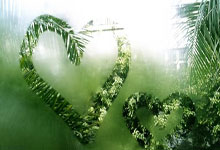 开云体育官网-卡尔蒂斯球迷现场助威，球队斗志昂扬