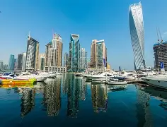 阿联酋一战成名夺冠梦终于触手可及的简单介绍