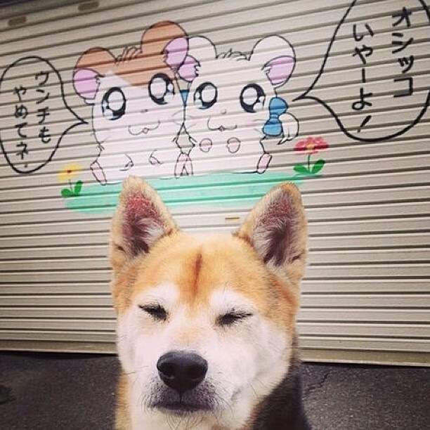 骑士客场力克浙江队,杰伦·格林全场最佳表现无争议