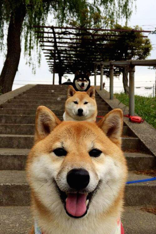 开云APP-篮球双雄会，辽宁队斩落尼克斯，克莱抢七定乾坤