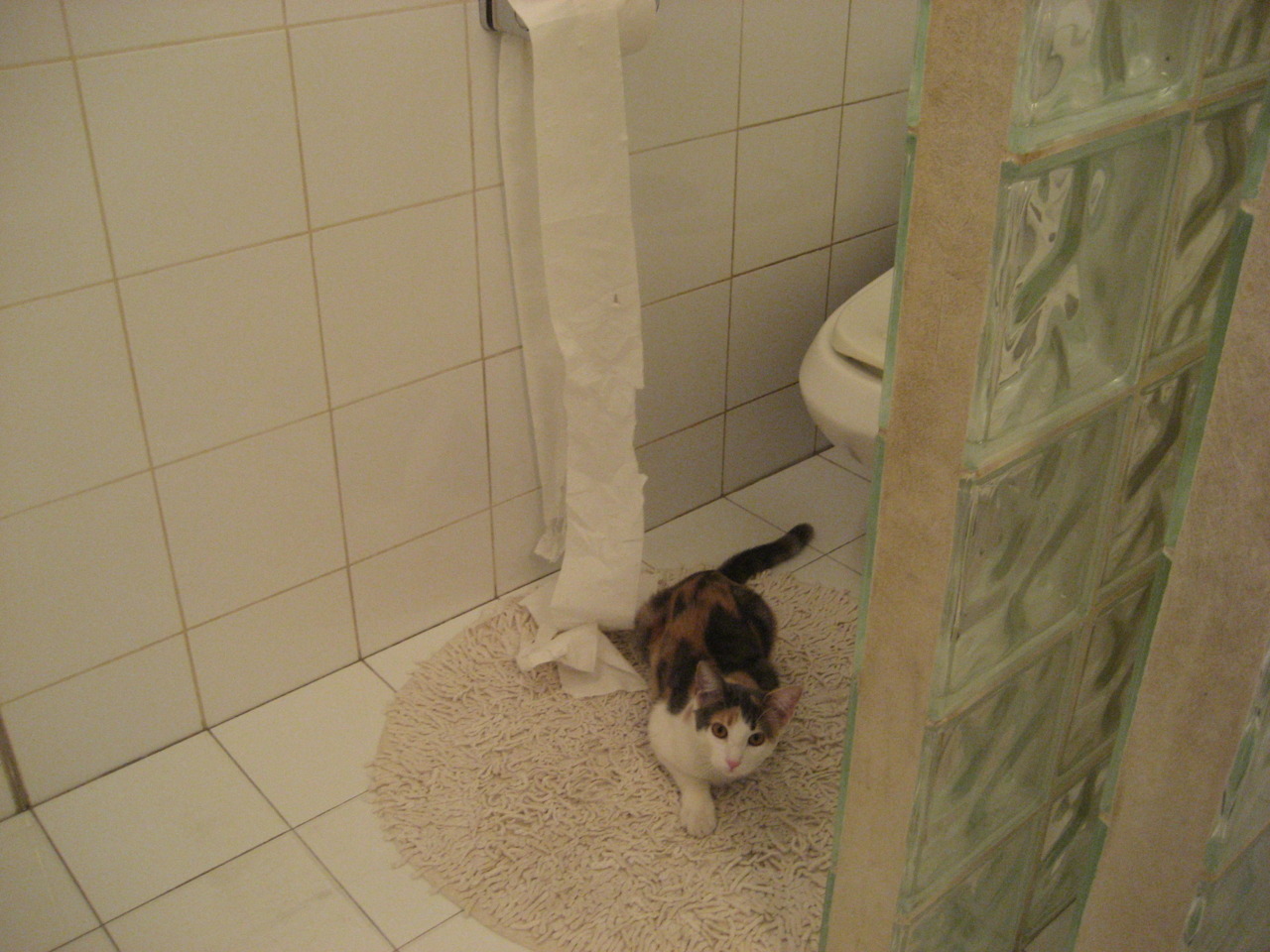 开云体育入口-贝恩31+7引爆孟菲斯，灰熊第三节狂潮吞噬热火