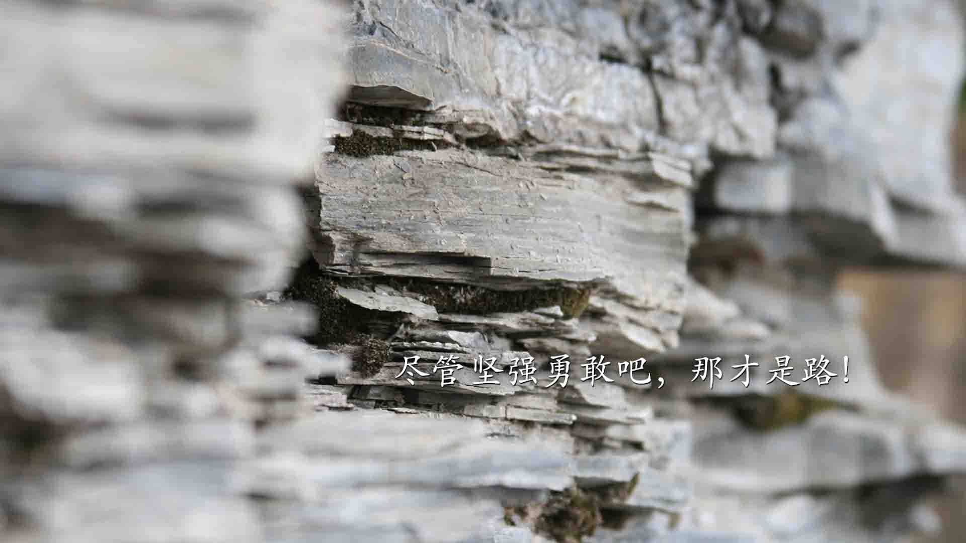 乌拉圭冲垮韩国，奥斯梅恩欧冠决赛接管，足球胜利的双重维度