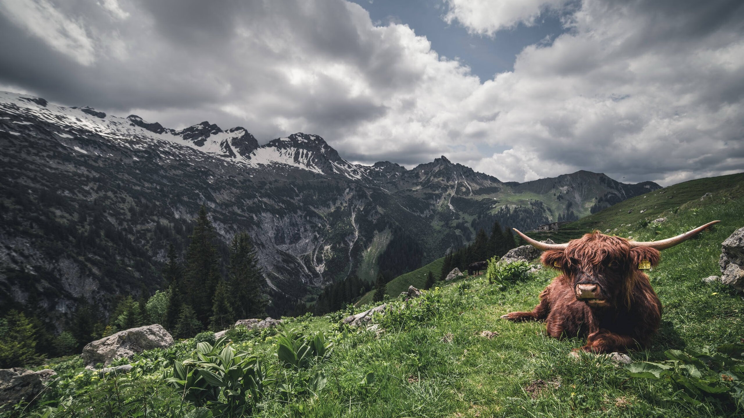 领袖的赛季，从鹈鹕晋级到保罗接管，定义胜利的终极密码