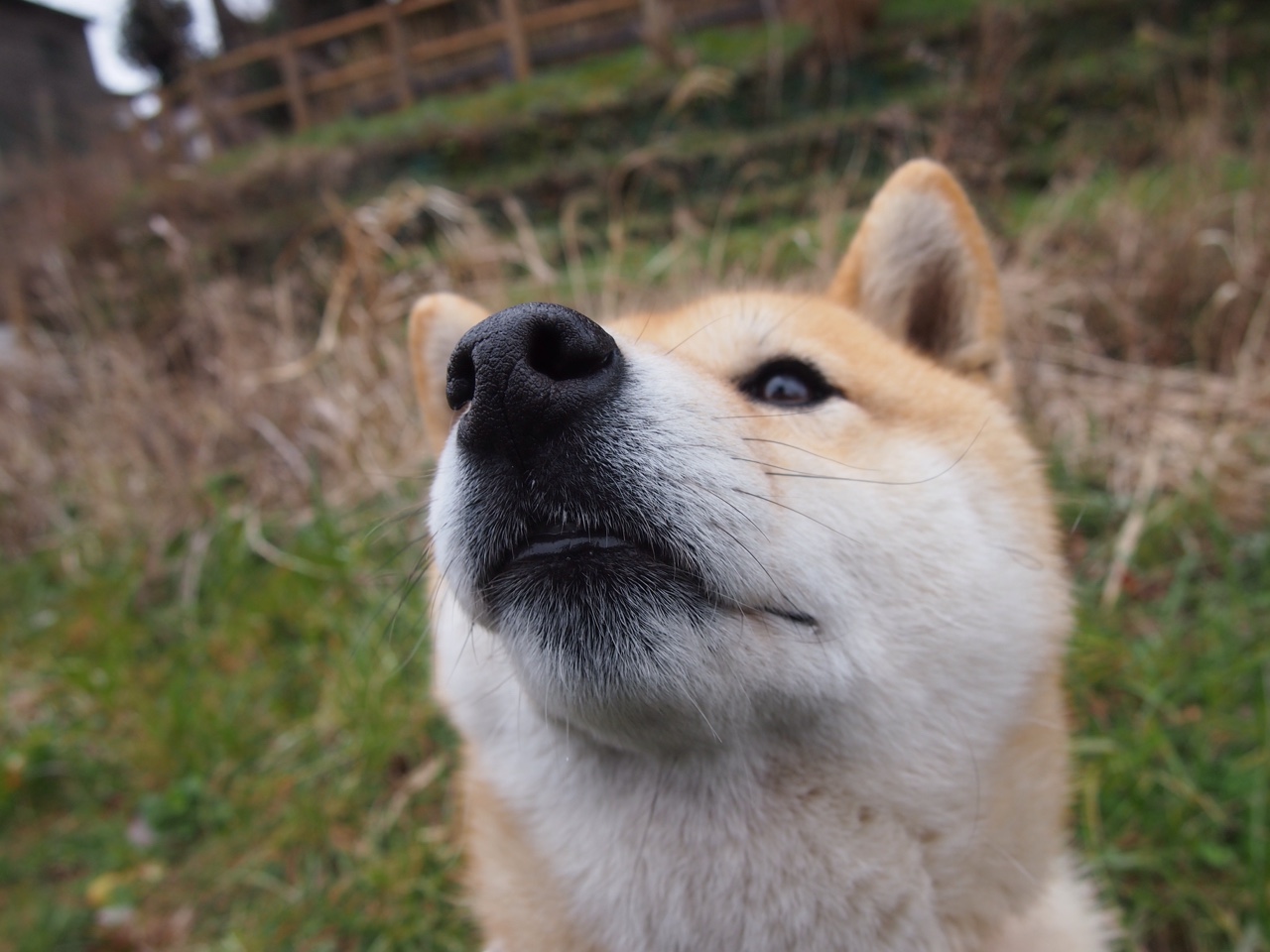 开云体育在线-硝烟与丝绸，从活塞更衣室到欧冠球场的运动鞋叙事