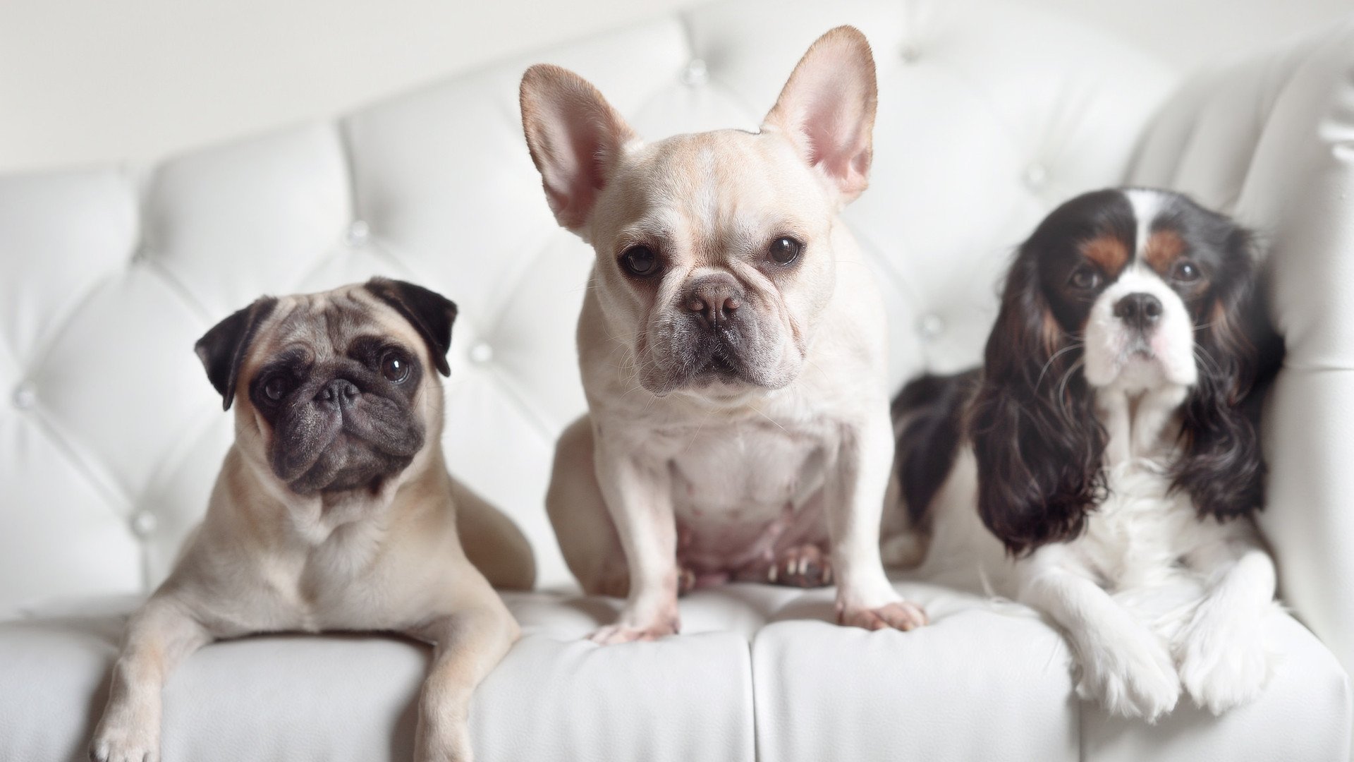 开云APP-姆巴佩的变速齿轮，当莱比锡红牛用快攻撕碎巴萨的控球信仰