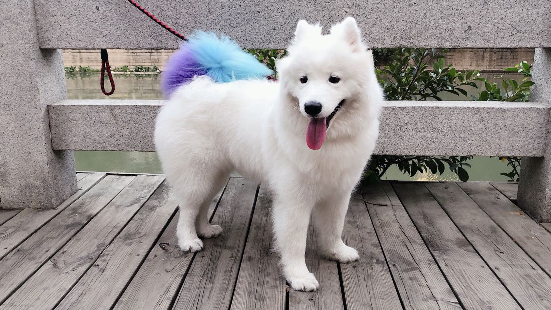 詹姆斯一手掌控比赛走势，灰熊力克活塞