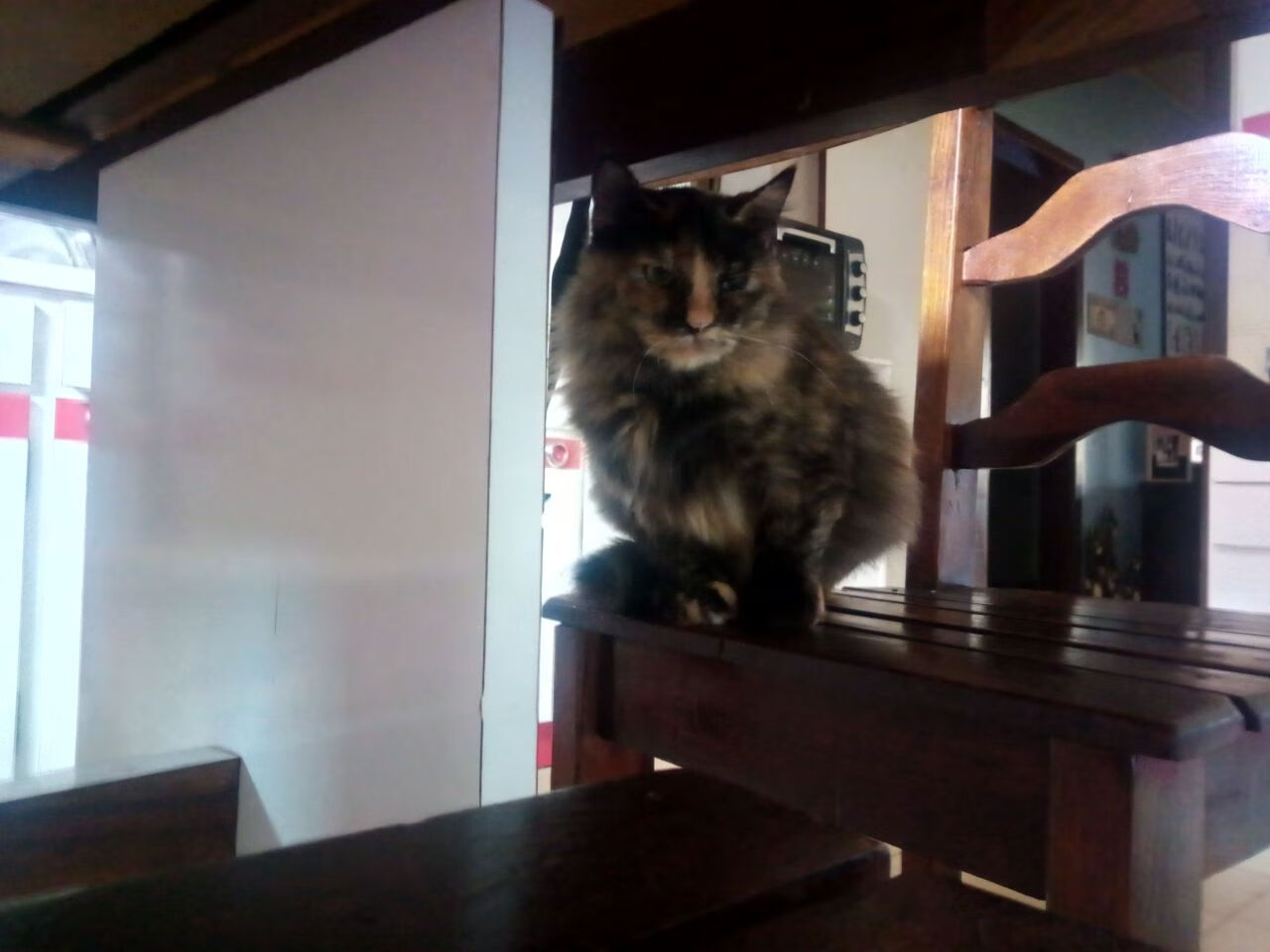 开云体育app-实力闪耀，黄喜灿的自我证明与阿尔及利亚的末节逆转传奇