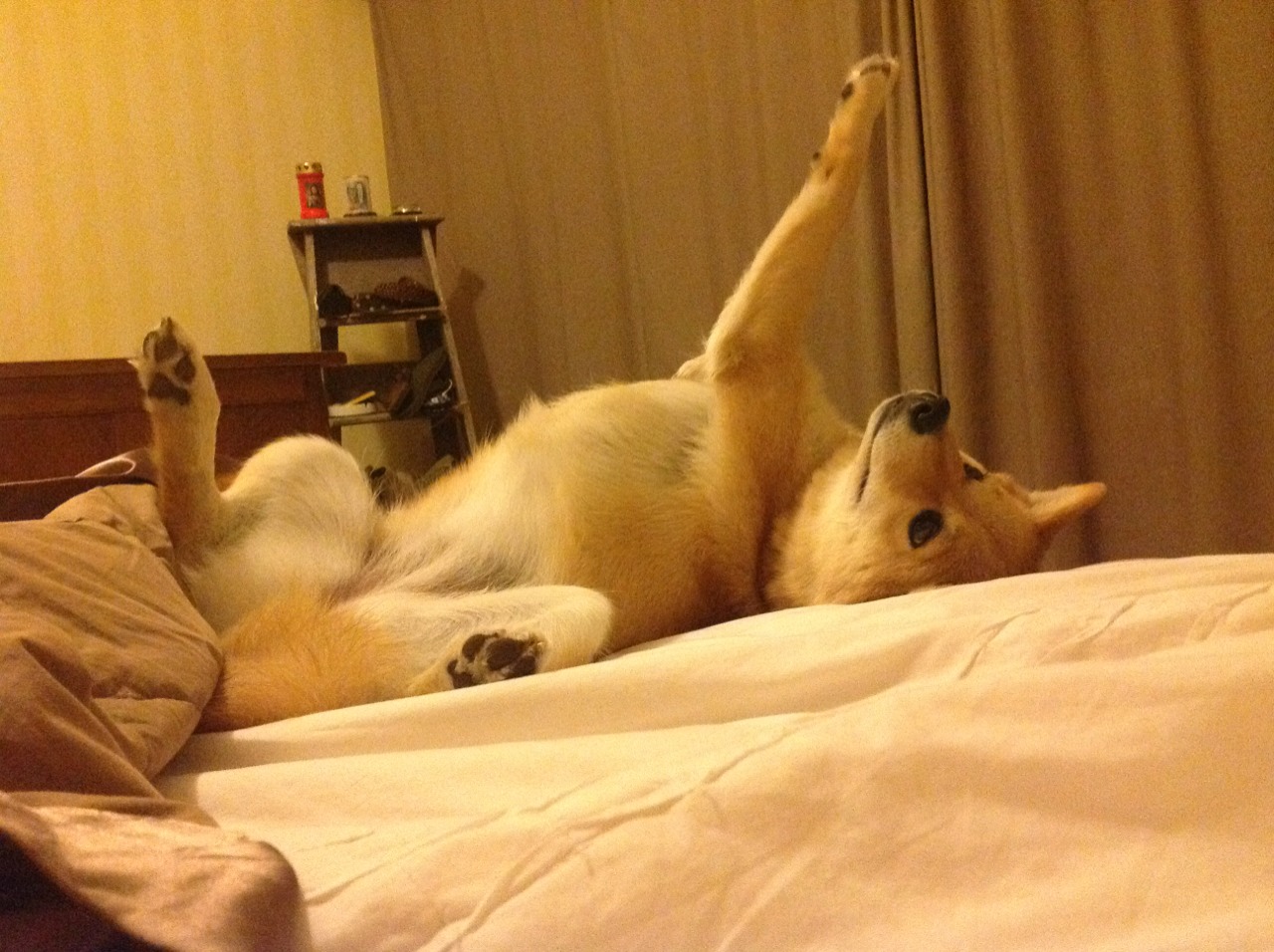 亚洲风暴席卷伯纳乌，李刚仁末节神迹点燃国家德比之夜