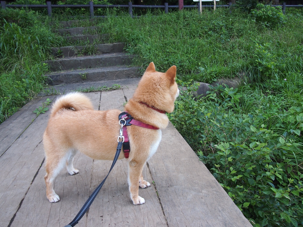 从罪人到英雄，卡瓦哈尔救赎之战，尤文险胜安哥拉晋级