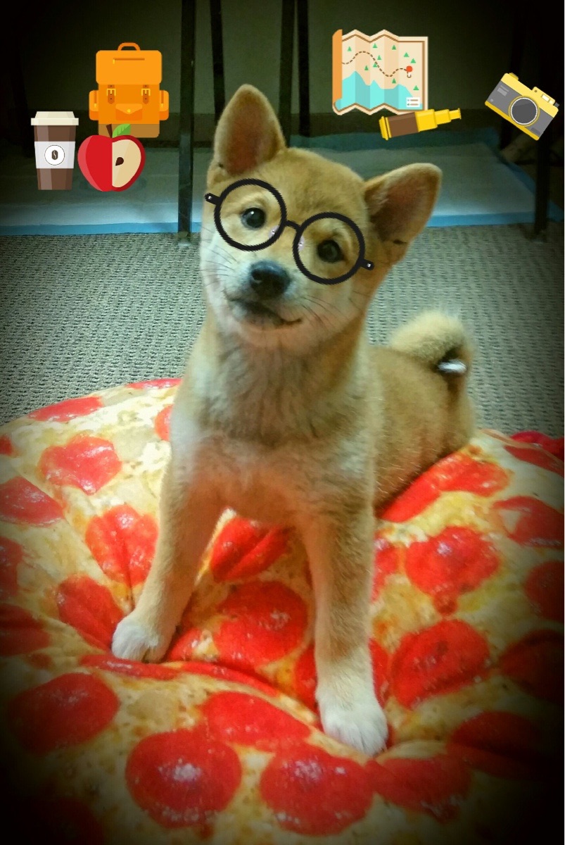 马其顿铁骑碾过圣保罗!托尼一剑封喉成希腊英雄