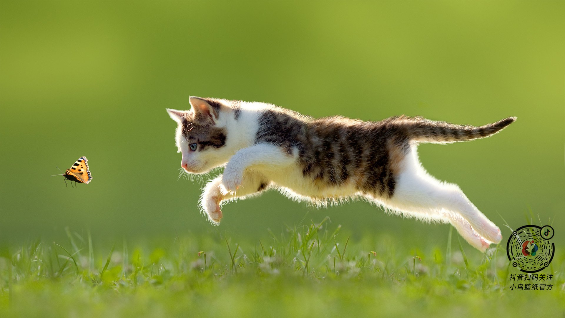 篮网轻取吉林队,锡安狂砍40+统治攻防